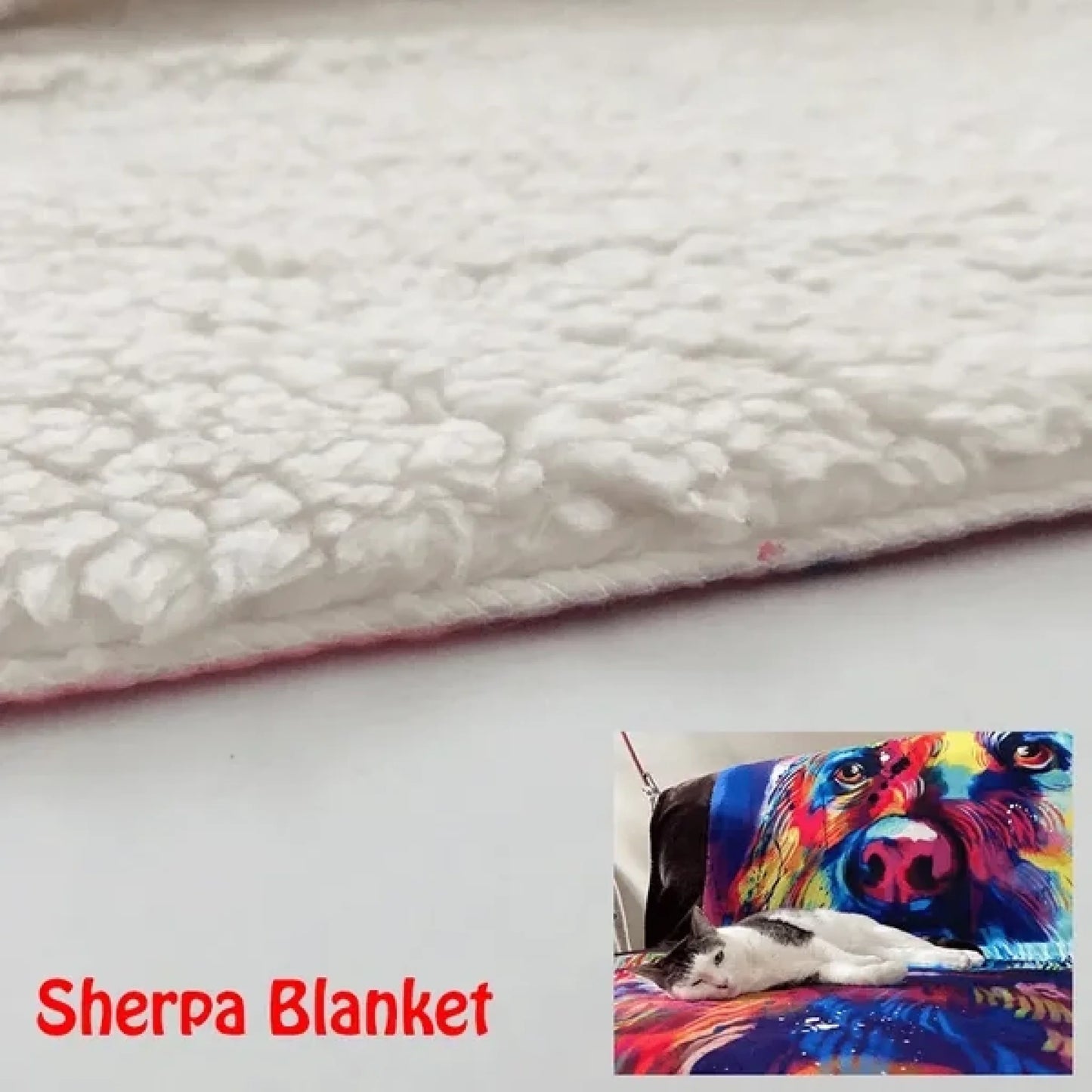 61960f93b2953_large
